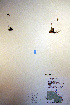  ( - CCDB-18341-C12)  @11 [ ] CreativeCommons - Attribution Non-Commercial Share-Alike (2012) CBG Photography Group Unspecified