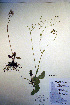  ( - CCDB-18342-A1)  @11 [ ] CreativeCommons - Attribution Non-Commercial Share-Alike (2012) CBG Photography Group Unspecified