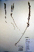  ( - CCDB-18342-E6)  @11 [ ] CreativeCommons - Attribution Non-Commercial Share-Alike (2012) CBG Photography Group Unspecified