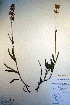  ( - CCDB-18342-H8)  @11 [ ] CreativeCommons - Attribution Non-Commercial Share-Alike (2012) CBG Photography Group Unspecified
