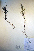  ( - CCDB-18342-C9)  @11 [ ] CreativeCommons - Attribution Non-Commercial Share-Alike (2012) CBG Photography Group Unspecified