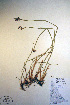  ( - CCDB-18343-G5)  @11 [ ] CreativeCommons - Attribution Non-Commercial Share-Alike (2012) CBG Photography Group Unspecified