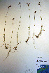 ( - CCDB-18343-B5)  @11 [ ] CreativeCommons - Attribution Non-Commercial Share-Alike (2012) CBG Photography Group Unspecified