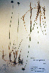  ( - CCDB-18343-A5)  @11 [ ] CreativeCommons - Attribution Non-Commercial Share-Alike (2012) CBG Photography Group Unspecified