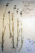  ( - CCDB-18343-C6)  @11 [ ] CreativeCommons - Attribution Non-Commercial Share-Alike (2012) CBG Photography Group Unspecified