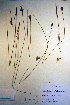  ( - CCDB-18343-H7)  @11 [ ] CreativeCommons - Attribution Non-Commercial Share-Alike (2012) CBG Photography Group Unspecified
