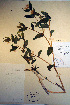  ( - CCDB-18343-D7)  @11 [ ] CreativeCommons - Attribution Non-Commercial Share-Alike (2012) CBG Photography Group Unspecified