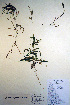  ( - CCDB-18343-B11)  @11 [ ] CreativeCommons - Attribution Non-Commercial Share-Alike (2012) CBG Photography Group Unspecified
