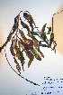  ( - CCDB-18343-F12)  @11 [ ] CreativeCommons - Attribution Non-Commercial Share-Alike (2012) CBG Photography Group Unspecified