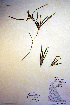  ( - CCDB-18344-C1)  @11 [ ] CreativeCommons - Attribution Non-Commercial Share-Alike (2012) CBG Photography Group Unspecified