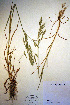  ( - CCDB-18344-H4)  @11 [ ] CreativeCommons - Attribution Non-Commercial Share-Alike (2012) CBG Photography Group Unspecified