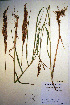  ( - CCDB-18344-C4)  @11 [ ] CreativeCommons - Attribution Non-Commercial Share-Alike (2012) CBG Photography Group Unspecified