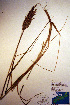  ( - CCDB-18344-D8)  @11 [ ] CreativeCommons - Attribution Non-Commercial Share-Alike (2012) CBG Photography Group Unspecified