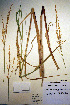  ( - CCDB-18344-B12)  @11 [ ] CreativeCommons - Attribution Non-Commercial Share-Alike (2012) CBG Photography Group Unspecified