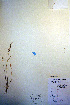  ( - CCDB-18345-F2)  @11 [ ] CreativeCommons - Attribution Non-Commercial Share-Alike (2012) CBG Photography Group Unspecified