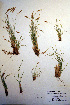  ( - CCDB-18345-H3)  @11 [ ] CreativeCommons - Attribution Non-Commercial Share-Alike (2012) CBG Photography Group Unspecified