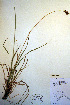  ( - CCDB-18345-D5)  @11 [ ] CreativeCommons - Attribution Non-Commercial Share-Alike (2012) CBG Photography Group Unspecified
