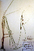  ( - CCDB-18345-A5)  @11 [ ] CreativeCommons - Attribution Non-Commercial Share-Alike (2012) CBG Photography Group Unspecified