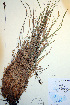  ( - CCDB-18345-D6)  @11 [ ] CreativeCommons - Attribution Non-Commercial Share-Alike (2012) CBG Photography Group Unspecified