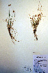  ( - CCDB-18345-F8)  @11 [ ] CreativeCommons - Attribution Non-Commercial Share-Alike (2012) CBG Photography Group Unspecified
