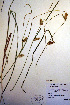  ( - CCDB-18345-G9)  @11 [ ] CreativeCommons - Attribution Non-Commercial Share-Alike (2012) CBG Photography Group Unspecified