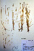  ( - CCDB-18345-D10)  @11 [ ] CreativeCommons - Attribution Non-Commercial Share-Alike (2012) CBG Photography Group Unspecified