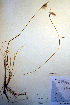  ( - CCDB-18345-H11)  @11 [ ] CreativeCommons - Attribution Non-Commercial Share-Alike (2012) CBG Photography Group Unspecified