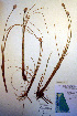  ( - CCDB-18345-G11)  @11 [ ] CreativeCommons - Attribution Non-Commercial Share-Alike (2012) CBG Photography Group Unspecified