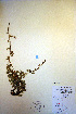  ( - CCDB-18346-F1)  @11 [ ] CreativeCommons - Attribution Non-Commercial Share-Alike (2012) CBG Photography Group Unspecified