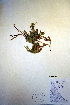  ( - CCDB-18346-D1)  @11 [ ] CreativeCommons - Attribution Non-Commercial Share-Alike (2012) CBG Photography Group Unspecified