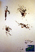  ( - CCDB-18346-B2)  @11 [ ] CreativeCommons - Attribution Non-Commercial Share-Alike (2012) CBG Photography Group Unspecified