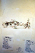  ( - CCDB-18346-A2)  @11 [ ] CreativeCommons - Attribution Non-Commercial Share-Alike (2012) CBG Photography Group Unspecified