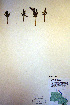  ( - CCDB-18347-E1)  @11 [ ] CreativeCommons - Attribution Non-Commercial Share-Alike (2012) CBG Photography Group Unspecified