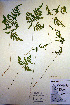  ( - CCDB-18347-F5)  @11 [ ] CreativeCommons - Attribution Non-Commercial Share-Alike (2012) CBG Photography Group Unspecified