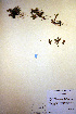  ( - CCDB-18346-A3)  @11 [ ] CreativeCommons - Attribution Non-Commercial Share-Alike (2012) CBG Photography Group Unspecified