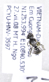  (Lasioglossum DialVNM1 - B03764H10-VNM)  @12 [ ] CreativeCommons - Attribution Non-Commercial Share-Alike (2010) Unspecified York University