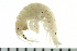  ( - BCAMP0015)  @14 [ ] CreativeCommons - Attribution (2008) Unspecified Centre for Biodiversity Genomics