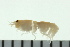  ( - BCAMP0016)  @12 [ ] CreativeCommons - Attribution (2008) Unspecified Centre for Biodiversity Genomics