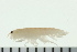  ( - BCAMP0019)  @13 [ ] CreativeCommons - Attribution (2008) Unspecified Centre for Biodiversity Genomics