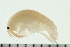  ( - BCAMP0021)  @13 [ ] CreativeCommons - Attribution (2008) Unspecified Centre for Biodiversity Genomics