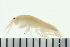  ( - BCAMP0022)  @13 [ ] CreativeCommons - Attribution (2008) Unspecified Centre for Biodiversity Genomics