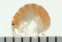 ( - BCAMP0042)  @14 [ ] CreativeCommons - Attribution (2008) Unspecified Centre for Biodiversity Genomics