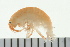  ( - BCAMP0098)  @11 [ ] CreativeCommons - Attribution (2008) Unspecified Centre for Biodiversity Genomics