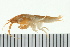  ( - BCAMP0104)  @13 [ ] CreativeCommons - Attribution (2008) Unspecified Centre for Biodiversity Genomics