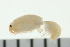  ( - BCAMP0119)  @12 [ ] CreativeCommons - Attribution (2008) Unspecified Centre for Biodiversity Genomics