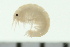  ( - BCAMP0120)  @12 [ ] CreativeCommons - Attribution (2008) Unspecified Centre for Biodiversity Genomics