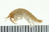  ( - BCAMP0150)  @13 [ ] CreativeCommons - Attribution (2008) Unspecified Centre for Biodiversity Genomics
