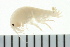  ( - BCAMP0151)  @11 [ ] CreativeCommons - Attribution (2008) Unspecified Centre for Biodiversity Genomics
