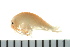  ( - BCAMP0164)  @14 [ ] CreativeCommons - Attribution (2008) Unspecified Centre for Biodiversity Genomics