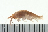  ( - BCAMP0193)  @14 [ ] CreativeCommons - Attribution (2008) Unspecified Centre for Biodiversity Genomics